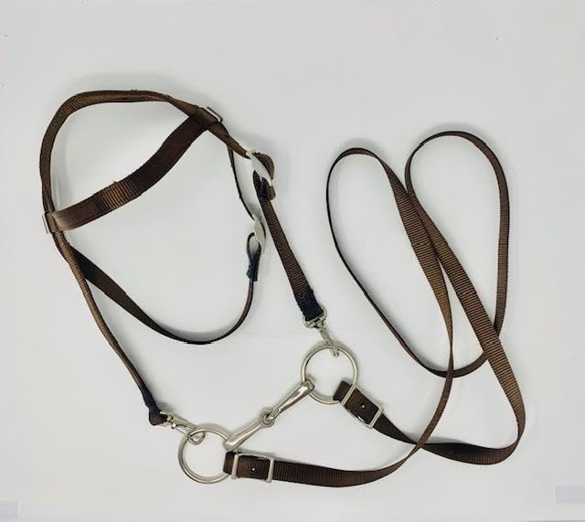 Miniature Horse/Small Pony Complete Nylon Bridle with SNAP ON Free BIT - Blue