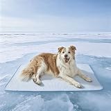 PetFelix Dog Cooling Mat