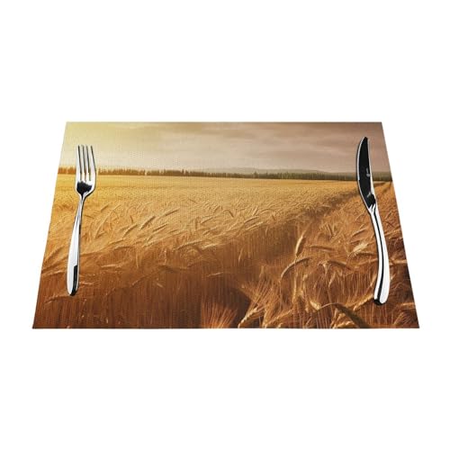 Set de table lavable protège table contre chaleur et taches