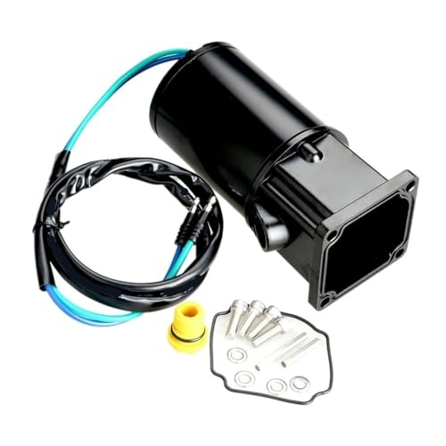 Moteur hors-bord inclinable pour réparer le trim bloqué 813447