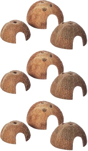 Trixie 76160 Set Kokosnuss Halbschale, Hund, ø 8/10/12 cm, 3 Stück (3er Pack)