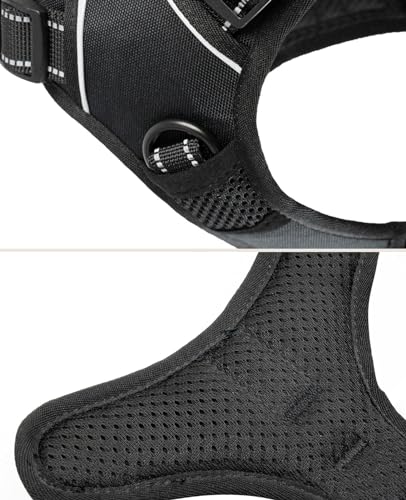 lionto Hundegeschirr gepolstert aus weichem Nylon, Größe M, reflektierendes Anti Zug Geschirr für Hunde mit 2 Ringen & 4 Einstellgurten, Zwei Klickverschlüsse & gummierter Griff am Rücken, schwarz