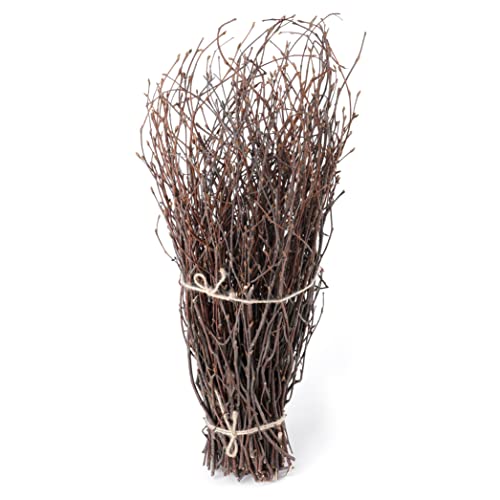 SOUJOY 100 PCS Birch Twigs for Vase, 16 Inch Natural Dried Birch Branches, Craft Decoration Birch Stick for DIY, Centerpieces, Home, Office, Wedding Arrangement