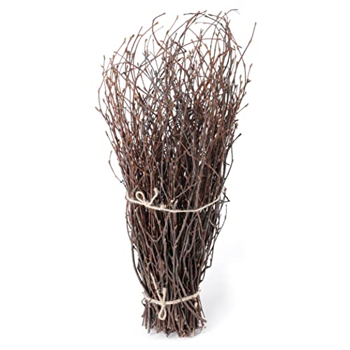 SOUJOY 100 PCS Birch Twigs for Vase, 17 Inch Thin Birch Branches, Craft Decoration Branches for DIY, Home, Office, Wedding Centerpieces