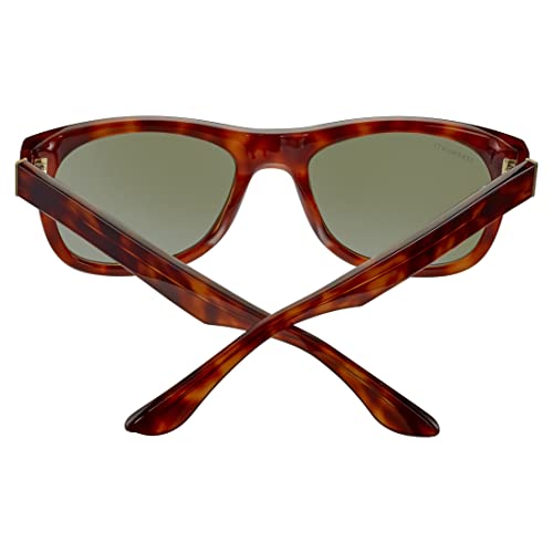 Serengeti - Foyt Large, Shiny Classic Havana, Mineral Polarized 555nm Cat 3 to 3, Large, Sunglasses, Masculine, Adult3