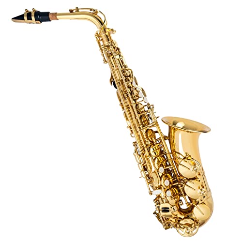 TSTS Alto Saxophone E tbgS[hbJ[TbNX P[Xt ^J TbNX tLbg