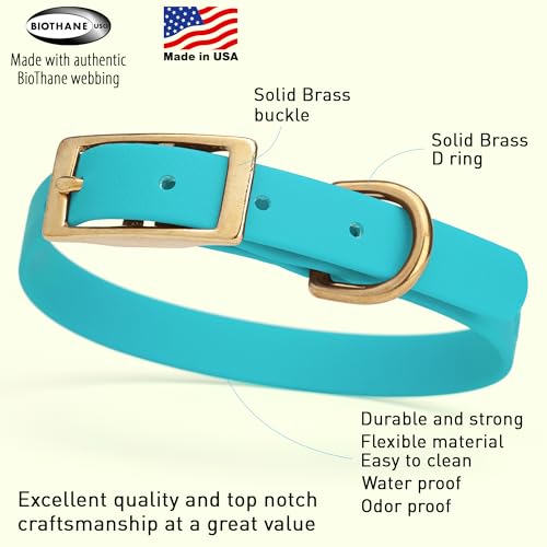 Image of Viper Biothane Heavy Duty Waterproof Dog Collar Strong Coated Nylon Webbing w /Solid Brass Hardware Odor-Proof Easy to Clean High Performance Fits Small Medium or Large Dogs, Sky Blue
