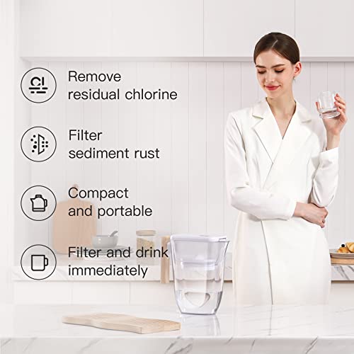 Fachioo Water Filter Pitcher, Filters 200-Gallons Long-Life 10-Cup Pitcher With 1 Filter, 5X Times Lifetime, Reduces Fluoride, Chlorine, Rust, Odors, Microplastics, Bpa Free, Display Filter Life #TOP1