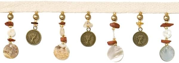 Expo International, Inc Shell and Coin Trim Pack of 1 Yard | Natural Multi | (per Yard)