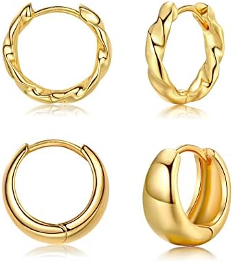 Silver Hoops Earrings for Women, 2 Pairs White Gold Chunky Twist Cartilage Huggie Hoop Earrings Set, Hypoallergenic Sterling Silver Post Small Sleeper Earring for Girls Men Gifts, 8/10mm