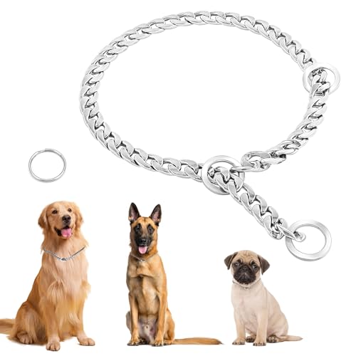 Ketten Halsband Hund – Die 15 besten Produkte im Vergleich ...