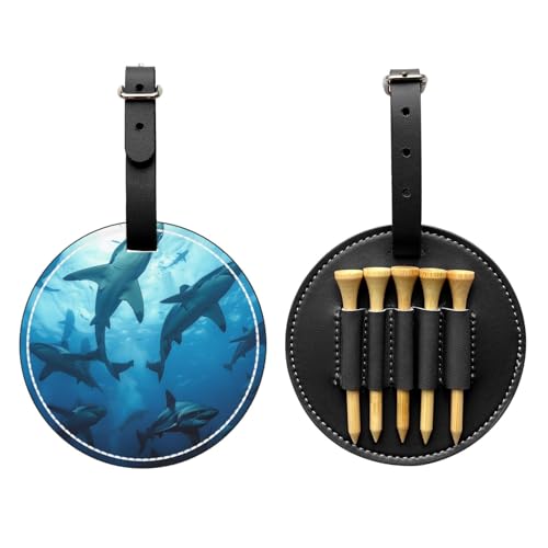 Hammerhead Sharks vgSteB[|[`obOAPUU[eB[z_[{[|PbgMtgASt@[AjAAubNB