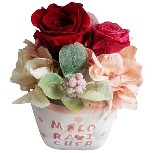 L[t(Q-FLA) vU[uht[ u bh o [Y ̓ Mtg 蕨 774201