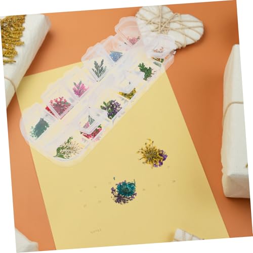 Kit de Flores Secas para Resina Zerodeko 12 Cavidades miniatura 7