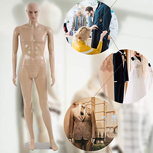 73 Inches Male Mannequin Full Body Adjustable Mannequin Torso Dress Form For Sewing Mannequin Plastic Detachable Mannequin Stand W/Metal Base & Realistic Display Mannequin Head Morden Dress Model #TOP2