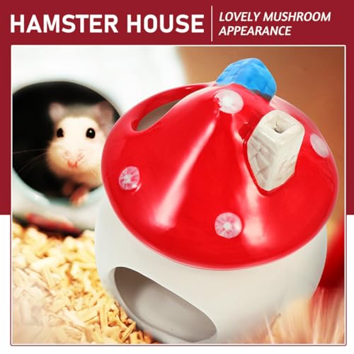 Cama de hámster de cerámica con forma de hongo lavable 4