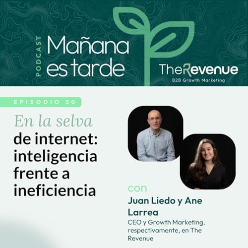 En la selva de internet: inteligencia frente a ineficiencia #30