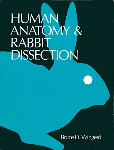 Amazon | Human Anatomy and Rabbit Dissection | Wingerd, Bruce D., Stein ...
