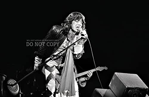 Póster de Mick Jagger 11 x 17 de los Rolling Stones en el concierto de Países Bajos de 1976