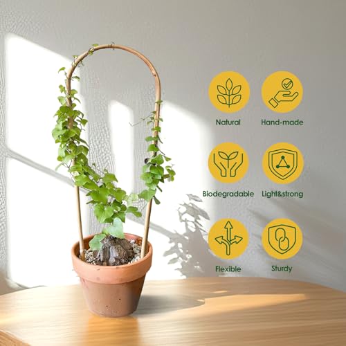 Image of Cambaverd Indoor Plant Trellis for Climbing Plants 16in, 6 Pack Arch Bamboo Trellis for Potted Plants