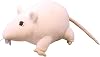 7inch Rat Plush Pillow, Rat Stuffed Animal Plushie Toy for Kids Girls Boys, Birthday Gifts Room Decorations White