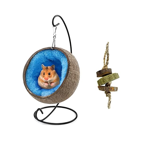 Ranslen natural coconut hamster hideout hammock with molar toy suspension coconut husk hamster bed house with warm pad small animal guinea pigs habitat decor accessories hanging loop (brown)