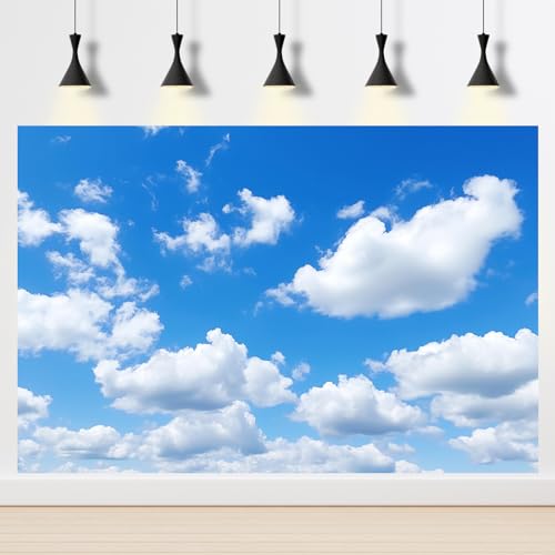 Image of Blue Sky Aquarium Background Tiny Cloudy Cumulus Fish Tank Background White Clouds in Clear Blue Sky Reptile Tank Backgrounds Cloudy Blue Skys Reptile Enclosure Backgrounds Wallpaper Poster 24x12in