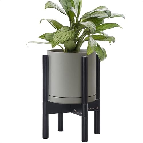 D'vine Dev Ceramic Planter with Ebony Stand 8-Inch