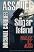 Assault on Sugar Island: Suicide by Jihad (Jack's Justice)