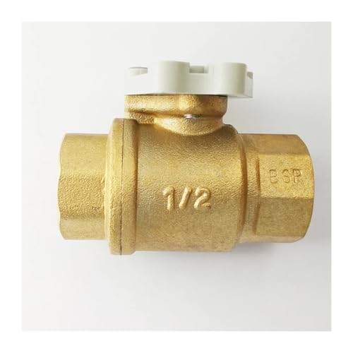 PVTLCYBI DN15 - Válvula de 2 vías de latón con rosca B/S/P o NPT utilizada para actuador motorizado (NPT)