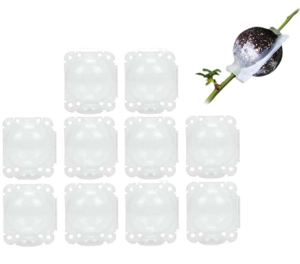 Generisch Pack of 10 Plant Root Growth Box, Asexual Reproduction High Pressure Spread Ball (Transparent), Reusable