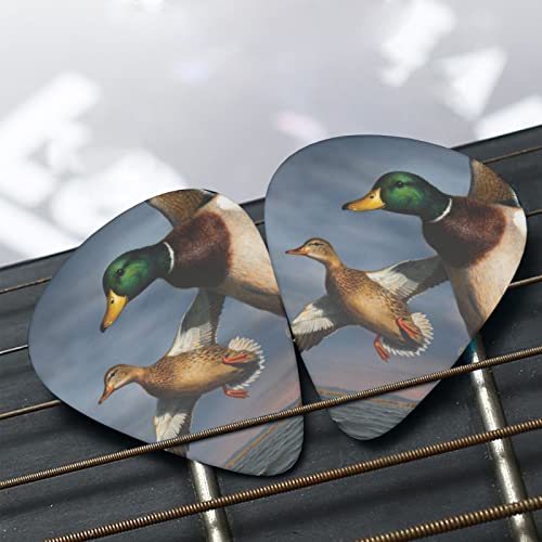 Pack de 12 médiators de guitare Canard colvert pour guitare électrique Guitare acoustique Diverses guitares - Les Beatles, Paul McCartney, John Lennon, RIngo Starr, George Harrison Pack de 12 médiators de guitare Canard colvert pour guitare électrique Guitare acoustique Diverses guitares – Image 7