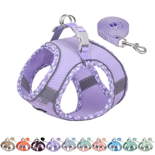 AIITLE XXS Dog Harness & Leash Set - Breathable Reflective No-Choke Small Dog Harness for Teacup Puppies, Indoor/Outdoor Use - Boston Terrier, Maltese, Chihuahua (Purple, XXS)