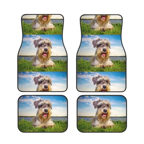 Alfombrillas de coche de Schnauzer para amantes de las mascotas proteccion para viajes en familia