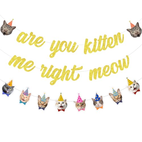 Sursurprise Cat Birthday Banner, Are You Kitten Me Right Meow Banner, Cat Face Banner, Kitten Pet Cat Birthday Decorations Adoption Gotcha Day Party Supplies