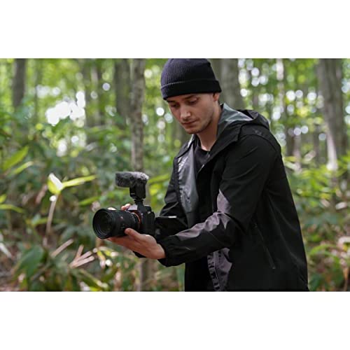 Cámara Sony Alpha 7R V: fotograma completo y lentes intercambiables. - Fernando Cortés