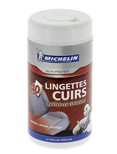 MICHELIN 008883 Caja 40 toallitas Piel