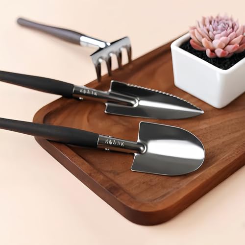 Set de herramientas de jardinería 3 piezas para plantas miniatura 3