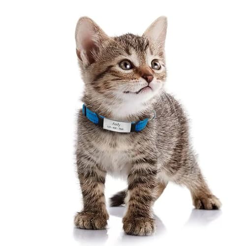 Médaille d'identification en acier inoxydable silencieuse pour protéger votre chien - 2