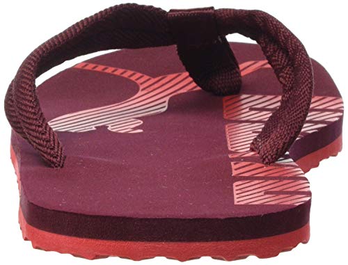 Image of PUMA Epic Flip V2 Synthetic Slipon Womens Athleisure Flip Flops