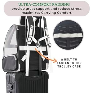 Lollimeow-Cat-Backpack-Carrier-Ideal-for-Small-Animals-Puppies-Outdoor-Adventures-Vet-Transport-Fully-Ventilated-Design-for-Ultimate-Comfort-On-The-Go - Cucciolini Doodles Lollimeow-Cat-Backpack-Carrier-Ideal-for-Small-Animals-Puppies-Outdoor-Adventures-Vet-Transport-Fully-Ventilated-Design-for-Ultimate-Comfort-On-The-Go
