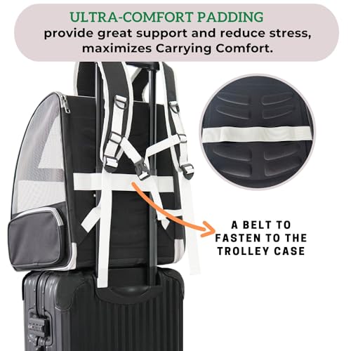 Lollimeow-Cat-Backpack-Carrier-Ideal-for-Small-Animals-Puppies-Outdoor-Adventures-Vet-Transport-Fully-Ventilated-Design-for-Ultimate-Comfort-On-The-Go - Cucciolini Doodles Lollimeow-Cat-Backpack-Carrier-Ideal-for-Small-Animals-Puppies-Outdoor-Adventures-Vet-Transport-Fully-Ventilated-Design-for-Ultimate-Comfort-On-The-Go