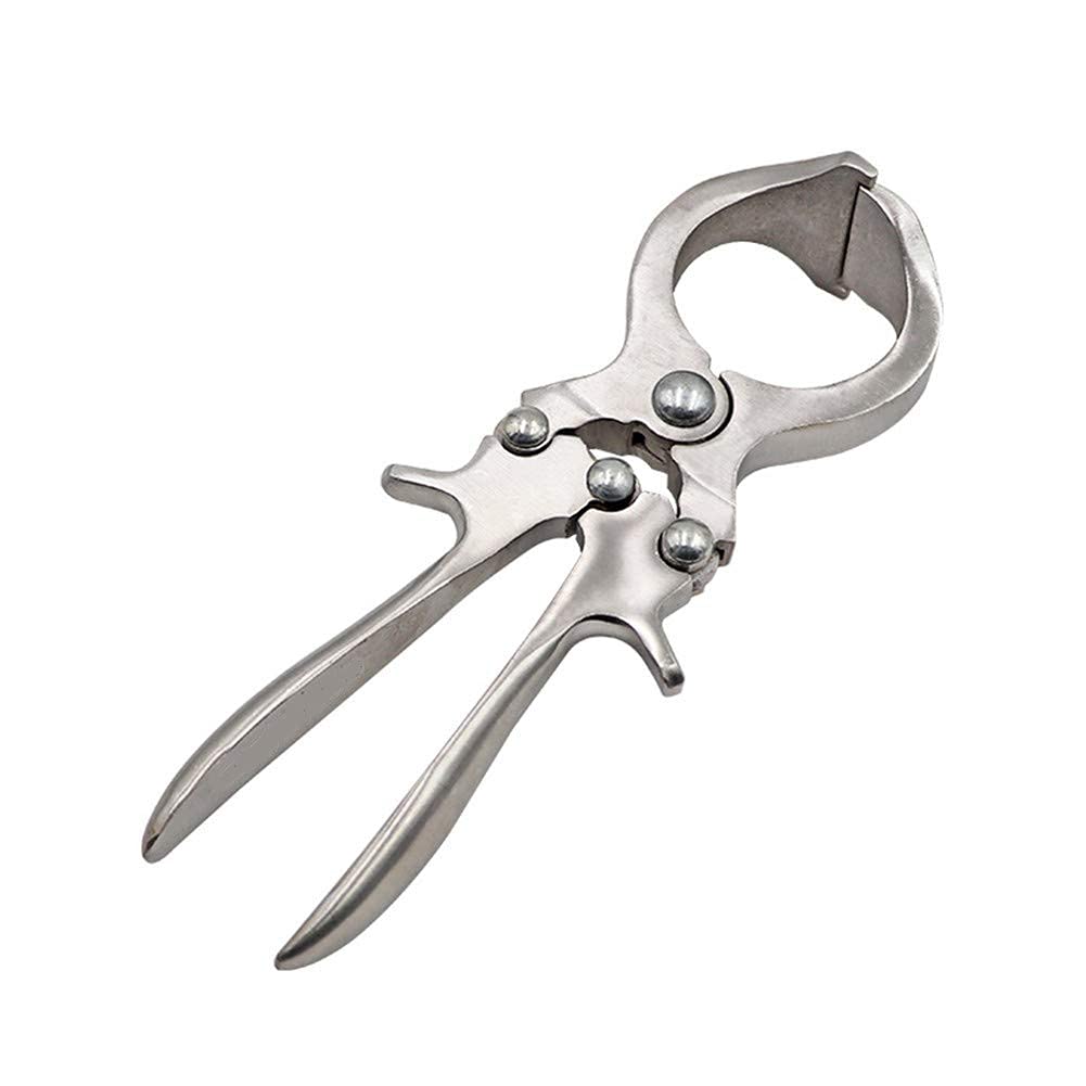 FORGESY Stainless Steel Without Blood Pig Sheep Castration Clamp Castration Tool Castration Forceps Veterinary Animals Pliers Special Tools (B094W5289L) Amazon Price History, Amazon Price Tracker