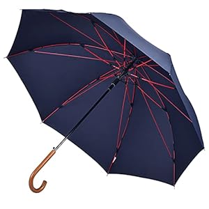 【台風・豪雨対応】Anntrue 傘 メンズ 長傘 木製ハンドル 台風対応 丈夫 軽量 強風 撥水 梅雨対策 紳士傘 大きい 自動開ステッキ傘 通学