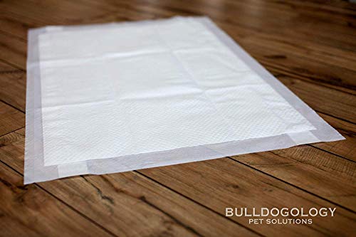 Image of Bulldogology Pee Pads for Dogs XL with Adhesive Sticky Tape (24x35) Dog Puppy Pads Extra Large, Disposable Puppy Pads, Dog Training Wee Pads 6 Layers with Bullsorbent Polymer Tech (40-Count, White)