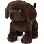 Chocolate Brown