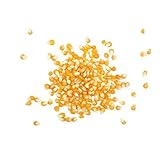 MAIS POP CORN - Le sachet de 500g