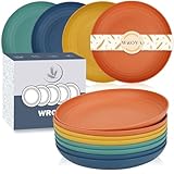 Wrova Plastic Plates Reusable Set of 8 Unbreakable Plates Set 9 Inch Dinner Plate - Dishwasher & Microwave Safe Plate Set - Lightweight Dinner Plate for Kitchen & Outdoor (Vivid Mix)