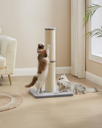 Feandrea Kratzbaum, 85 cm hoch, Kratzsäule XL, 13 cm Dicker Stamm, Katzenbaum, Kratzstamm für mittelgroße und große Katzen, Sisalstamm, mit Plüschball und Glocke, Taubengrau PCA041G01