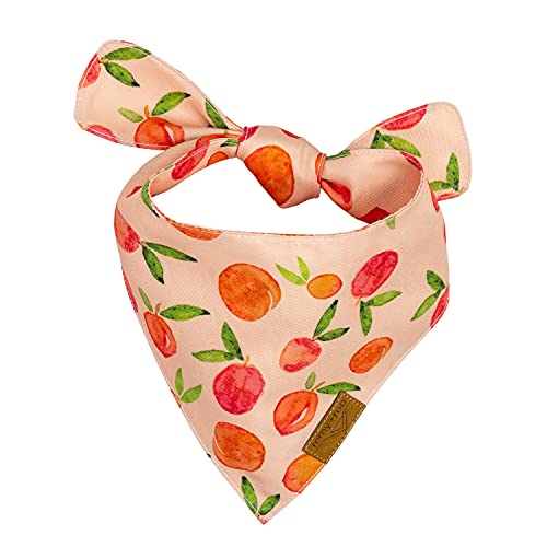 Remy+Roo Dog Bandanas - 4 Pack | Kathrine Set | Premium Durable Fabric | Unique Shape | Adjustable Fit | Multiple Sizes Offered (Xl) #TOP2